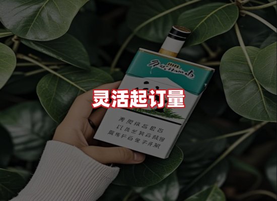 专业团队
